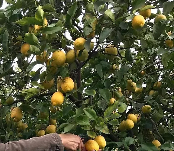 Appartement Dans La La Méridiane Antibes